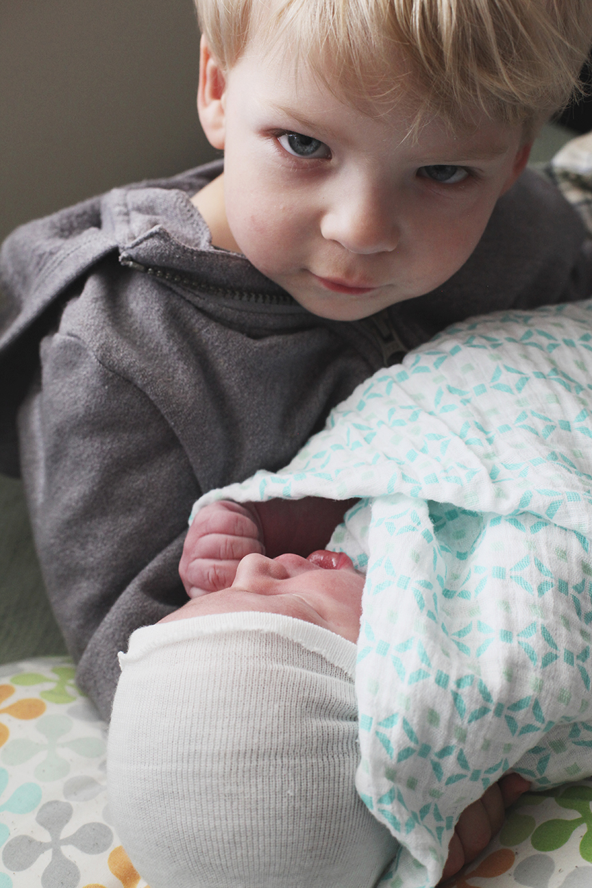 Alec & Owen #274.jpg