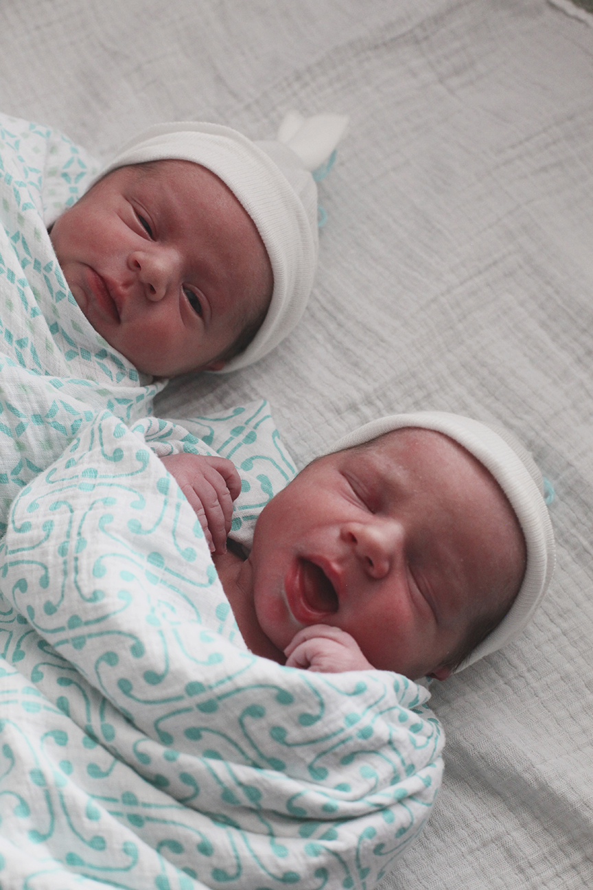 Alec & Owen #345.jpg