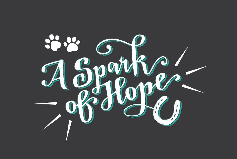 asparkofhope.jpg