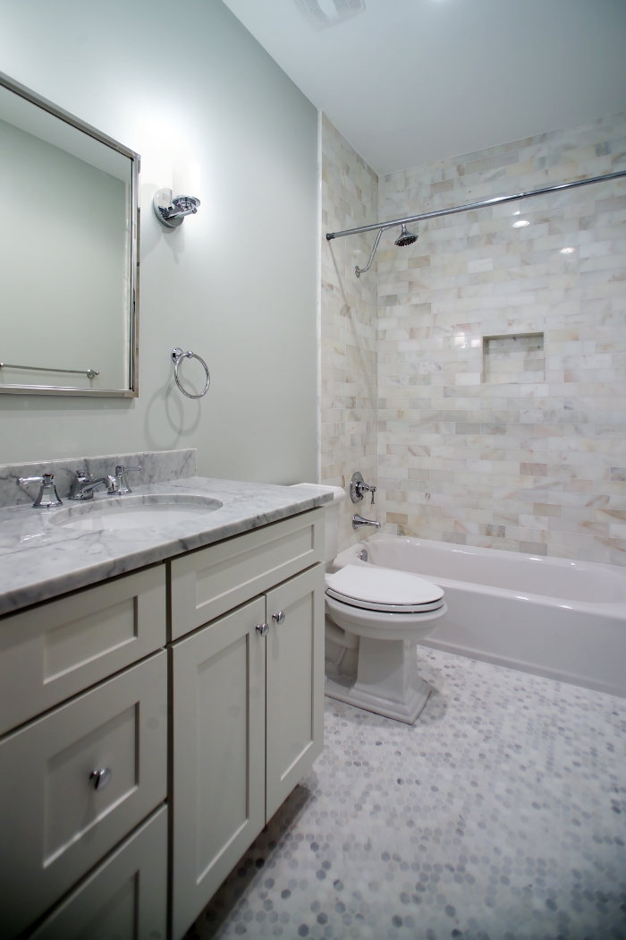 Basement Guest Bathroom - Overall View.jpg