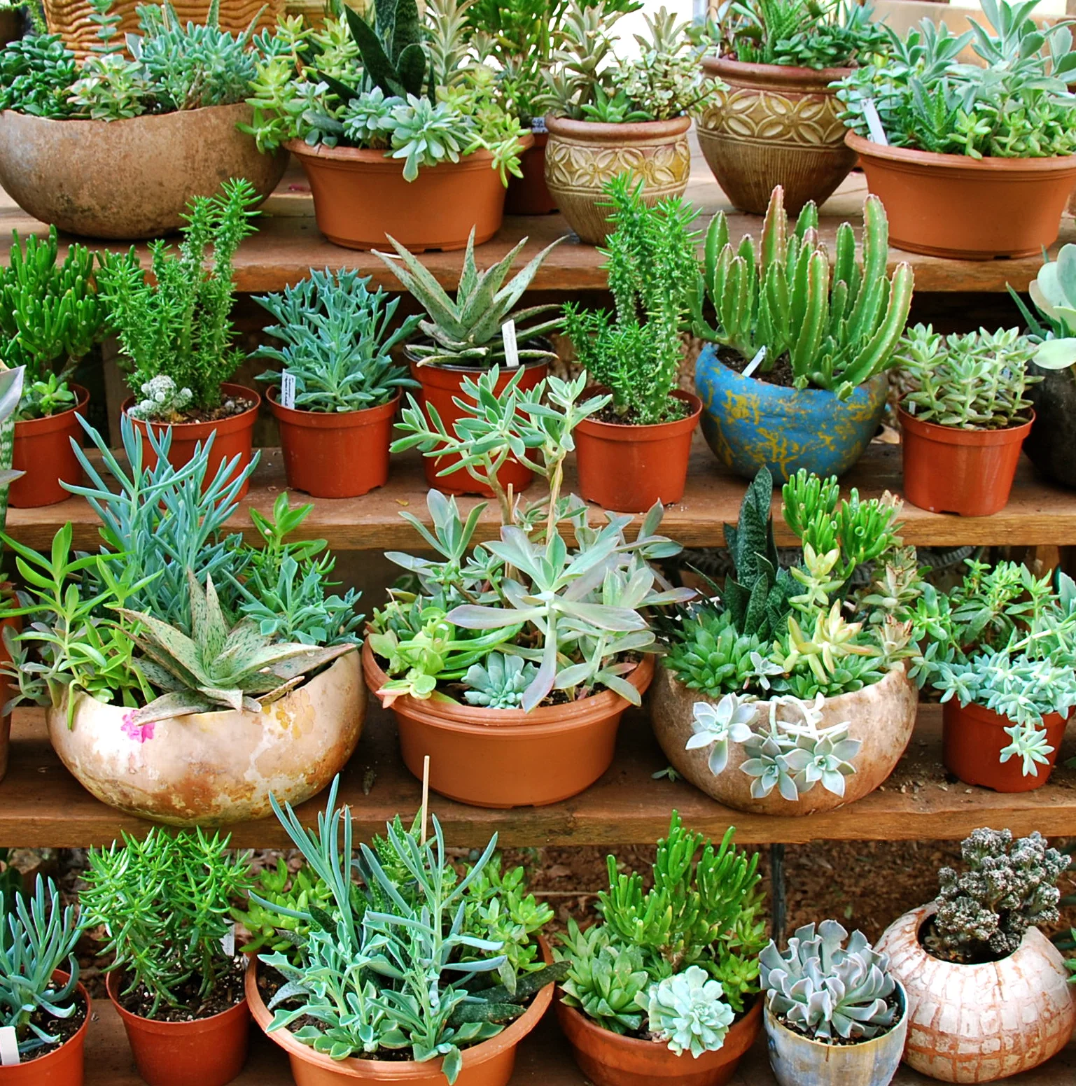 Arrangements in containers