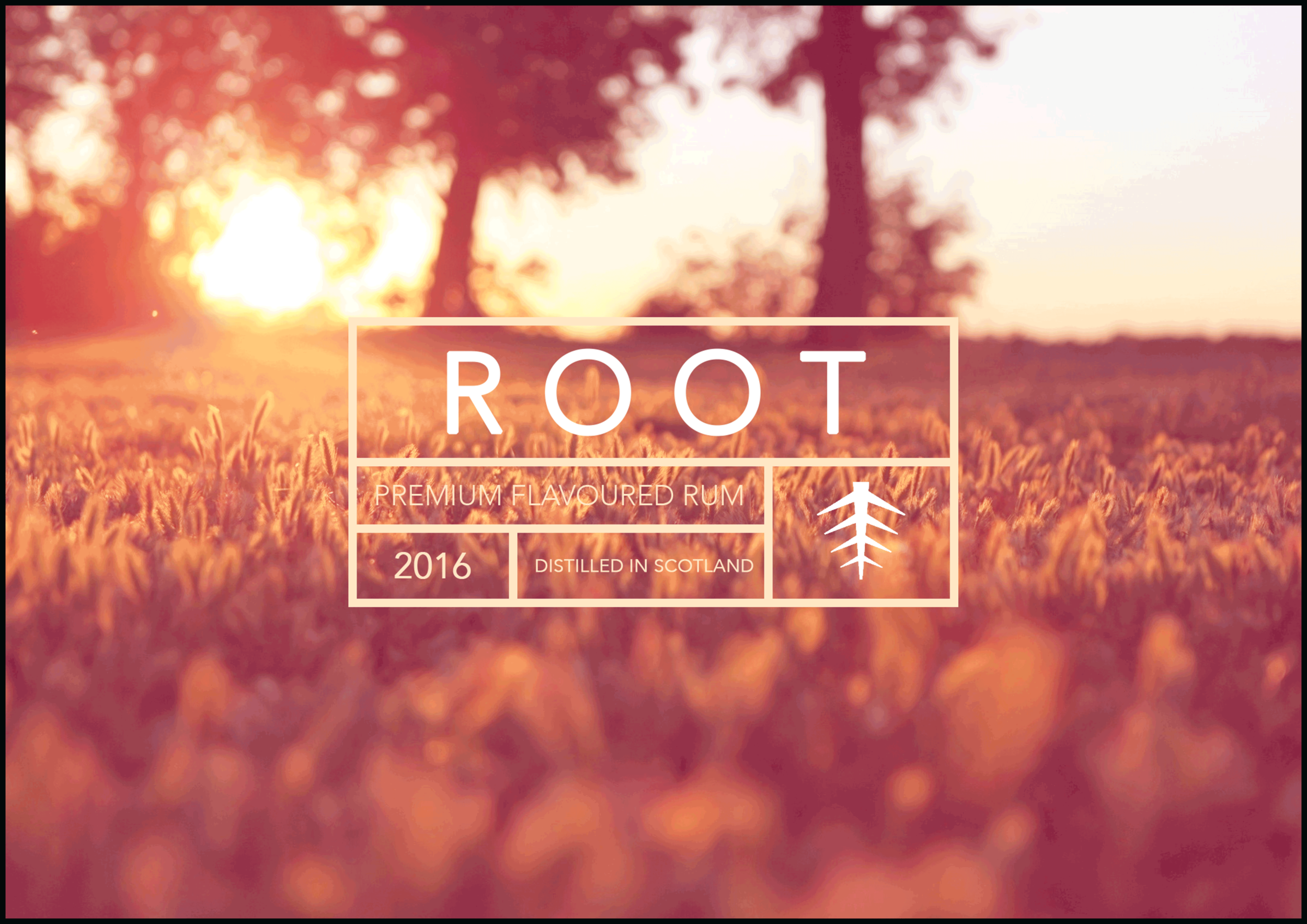 rootlogo1.png