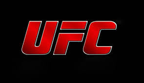 UFC 205