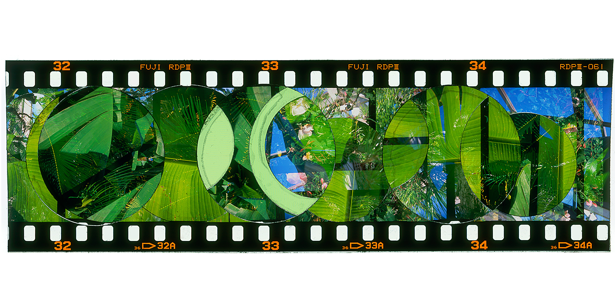 Website Long Photos_0016_Layer 10.jpg