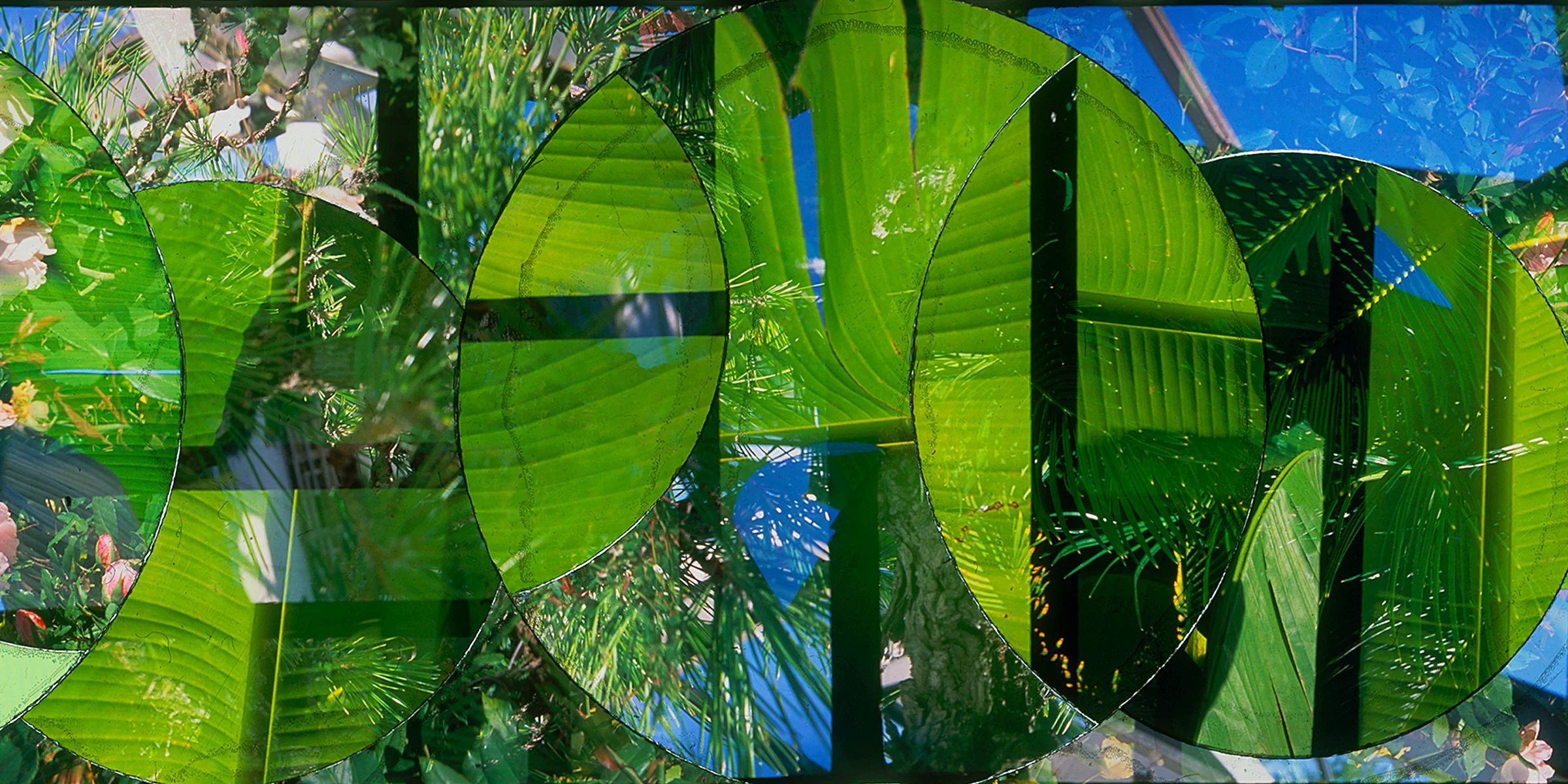 Website Long Photos_0015_Layer 33 copy.jpg