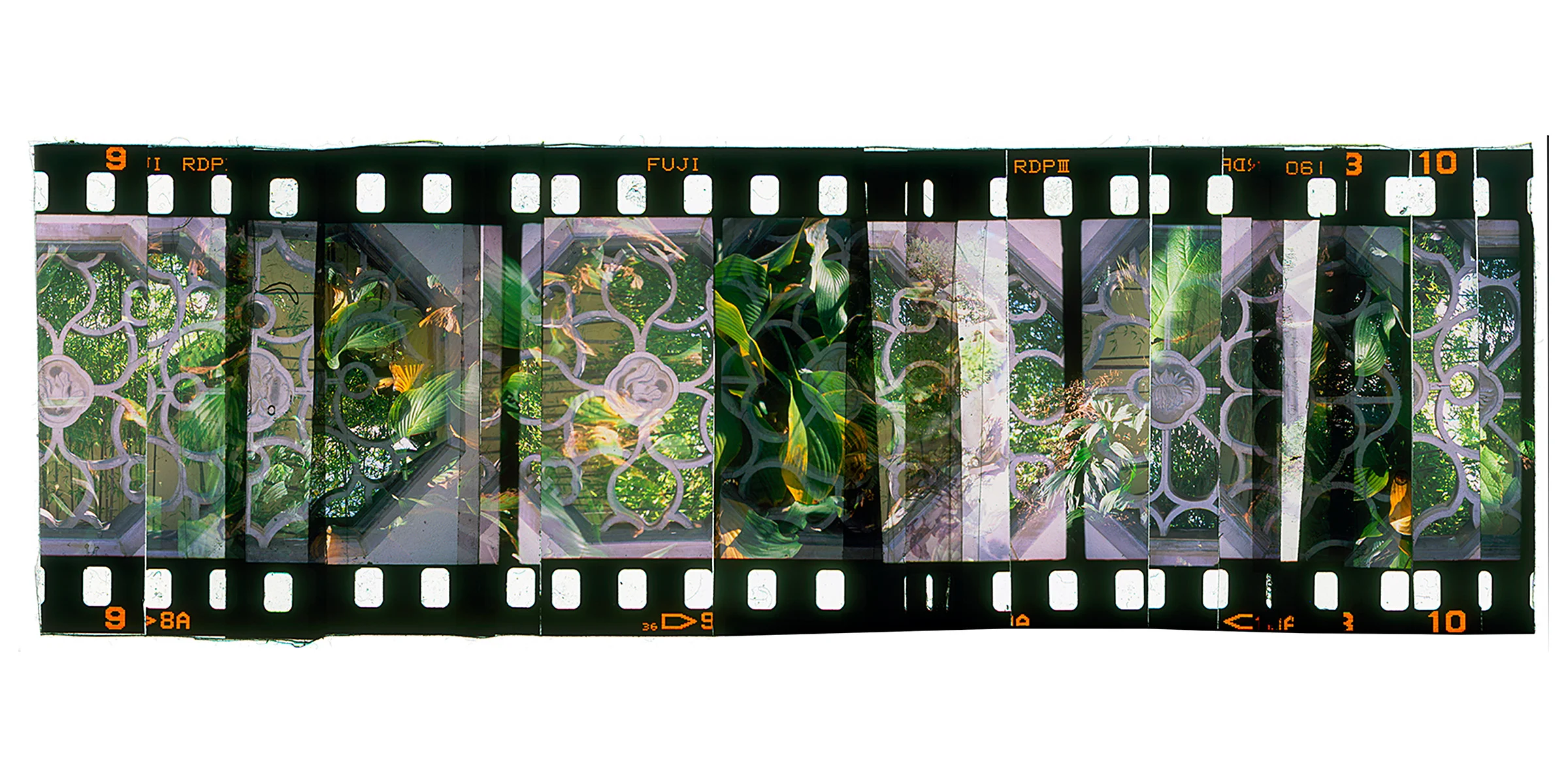 Website Long Photos_0018_Layer 35 copy.jpg