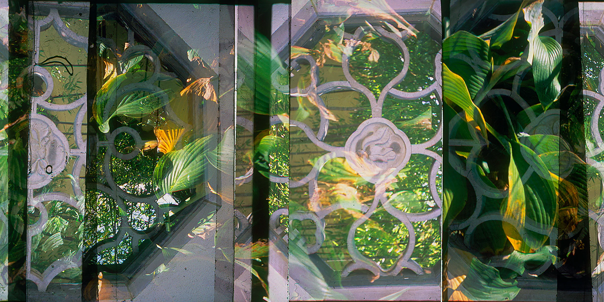 Website Long Photos_0020_Layer 8.jpg
