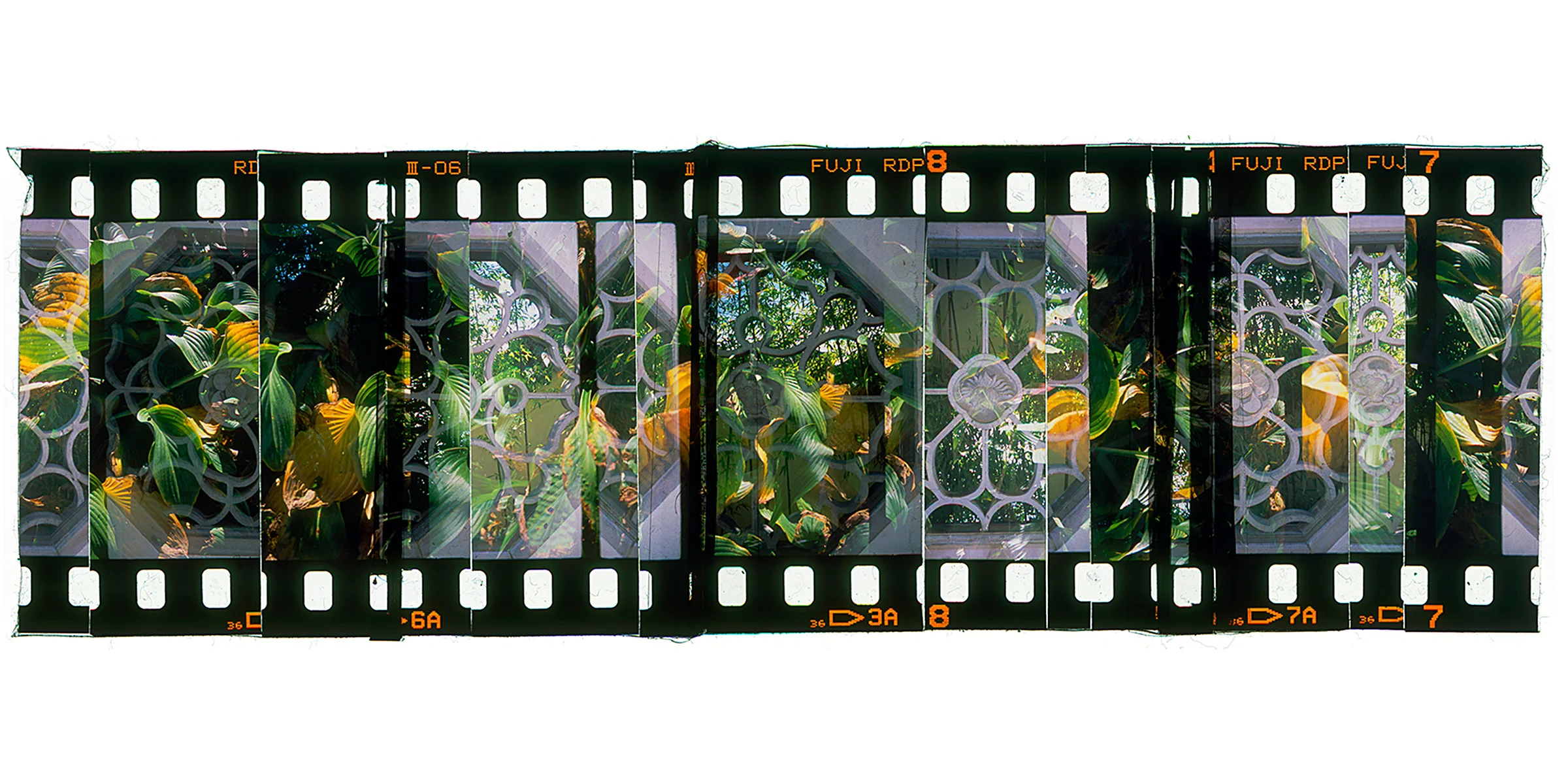 Website Long Photos_0019_Layer 7.jpg