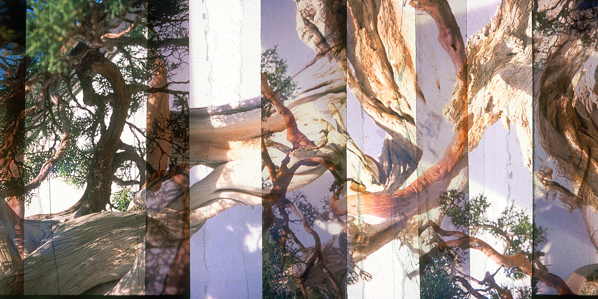 Website Long Photos_0000_Layer 27.jpg