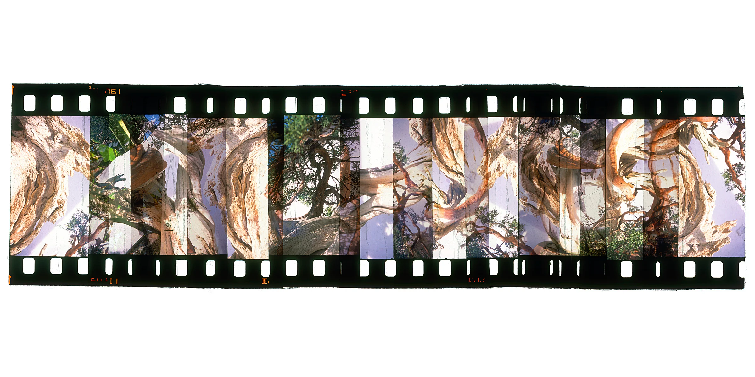 Website Long Photos_0001_Layer 26.jpg