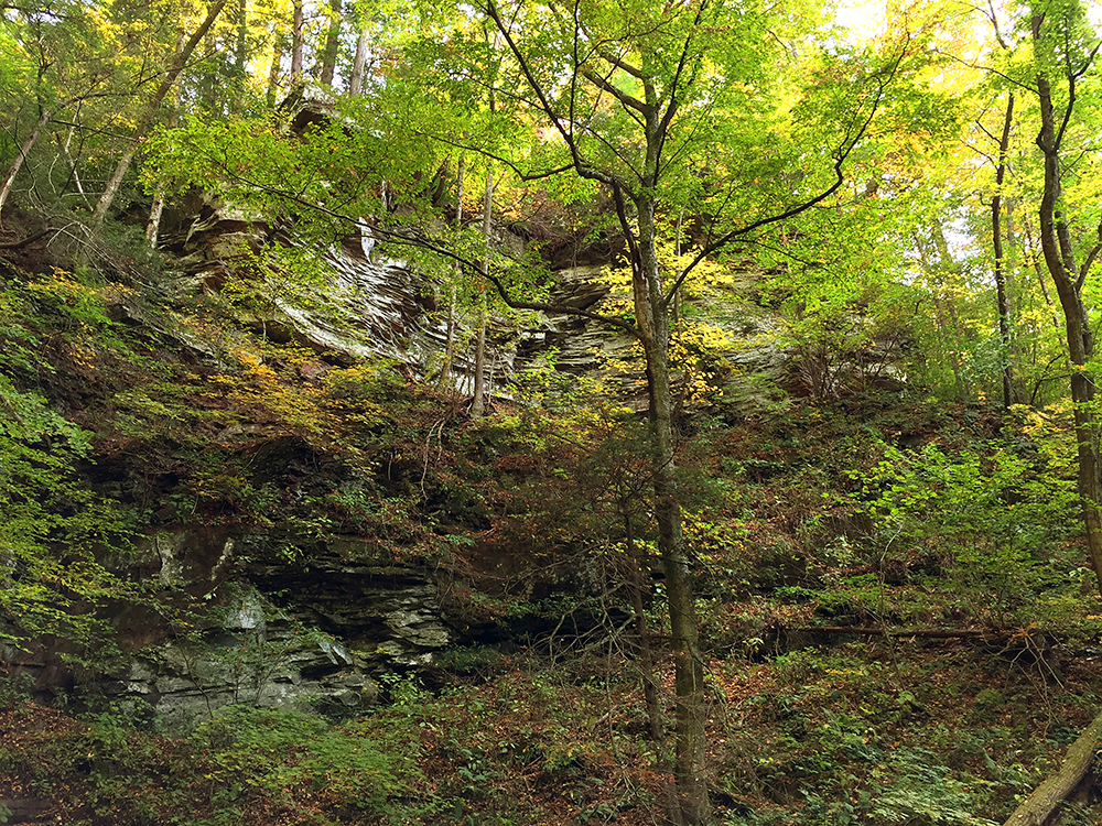 The towering rock walls on either side of Sheldon Reynolds Falls, full of horizontal grey-green rock layers and abundant plant life.
