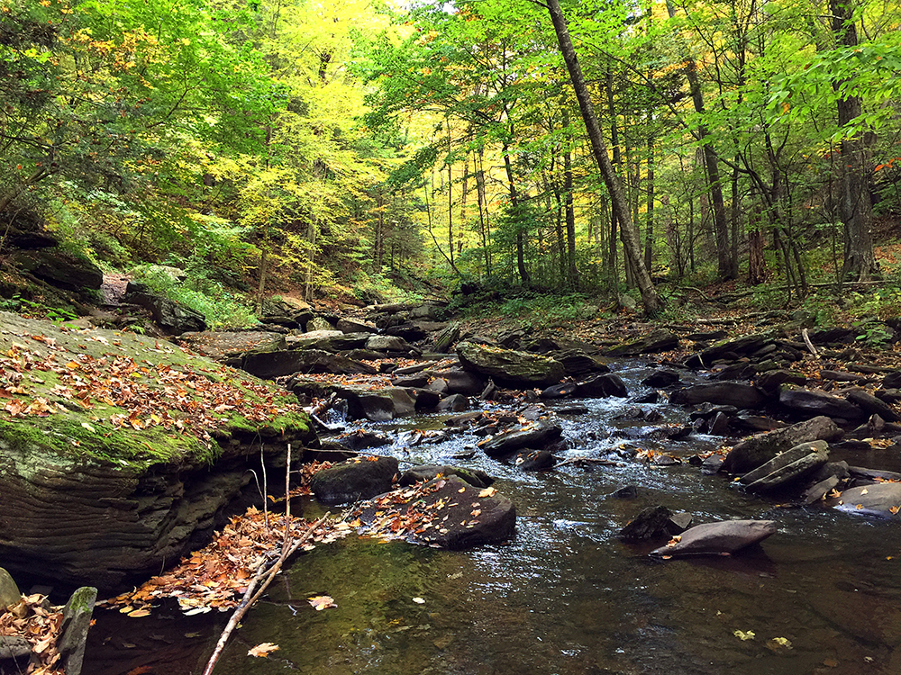 Here's a typical view along the trail in between the waterfalls. The water is in a continuous cascading fall through the rocks of the glen.
