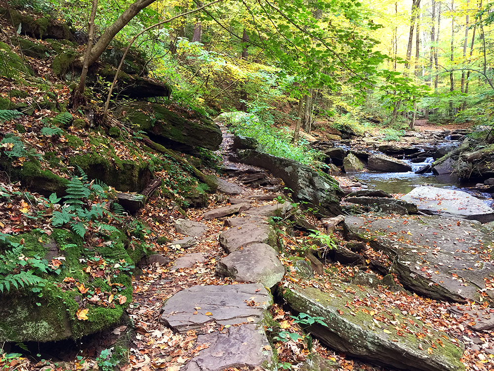 Almost all of the trails going up and down the glens are rock slabs and rock stairs. The Highland Trail which runs across the top of the valley is mostly flat dirt, as is the trail head from Rt. 118.