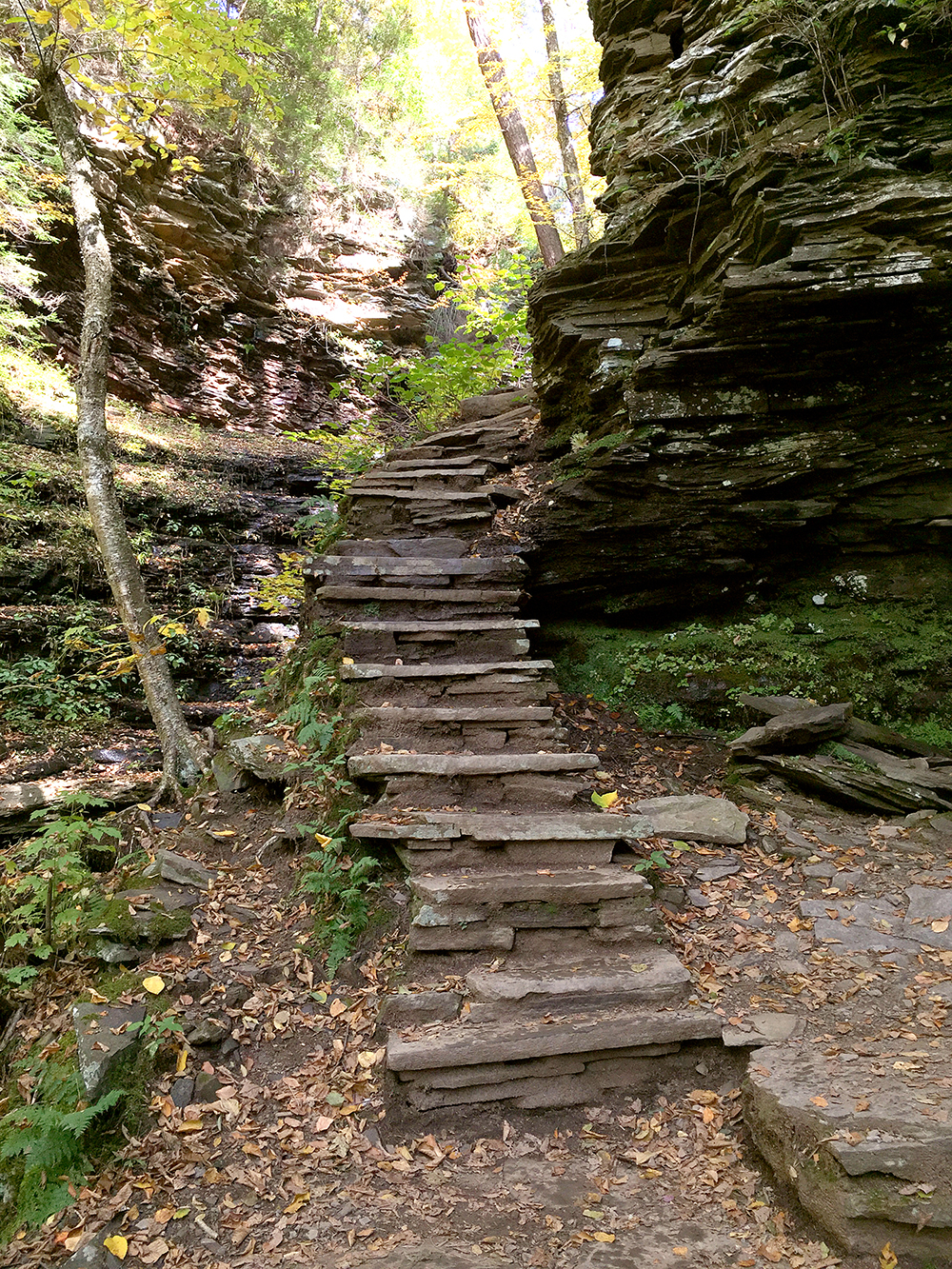 This narrow stone staircase is typical of the stone pathways up and down the glens. What is not visible in this photo is how wet most of the trail is.