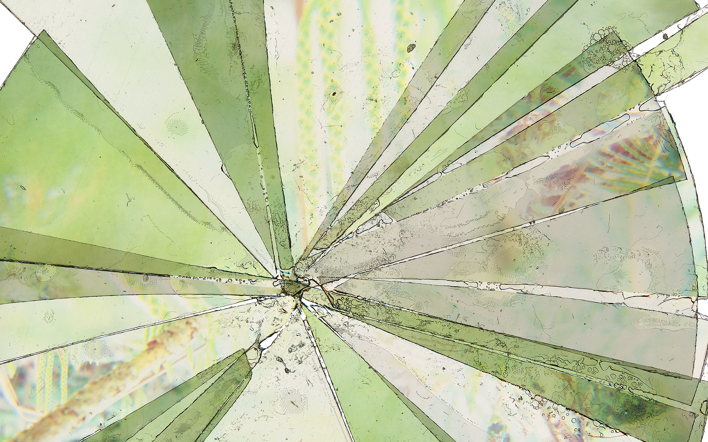 RADIANCE 5 (DETAIL)