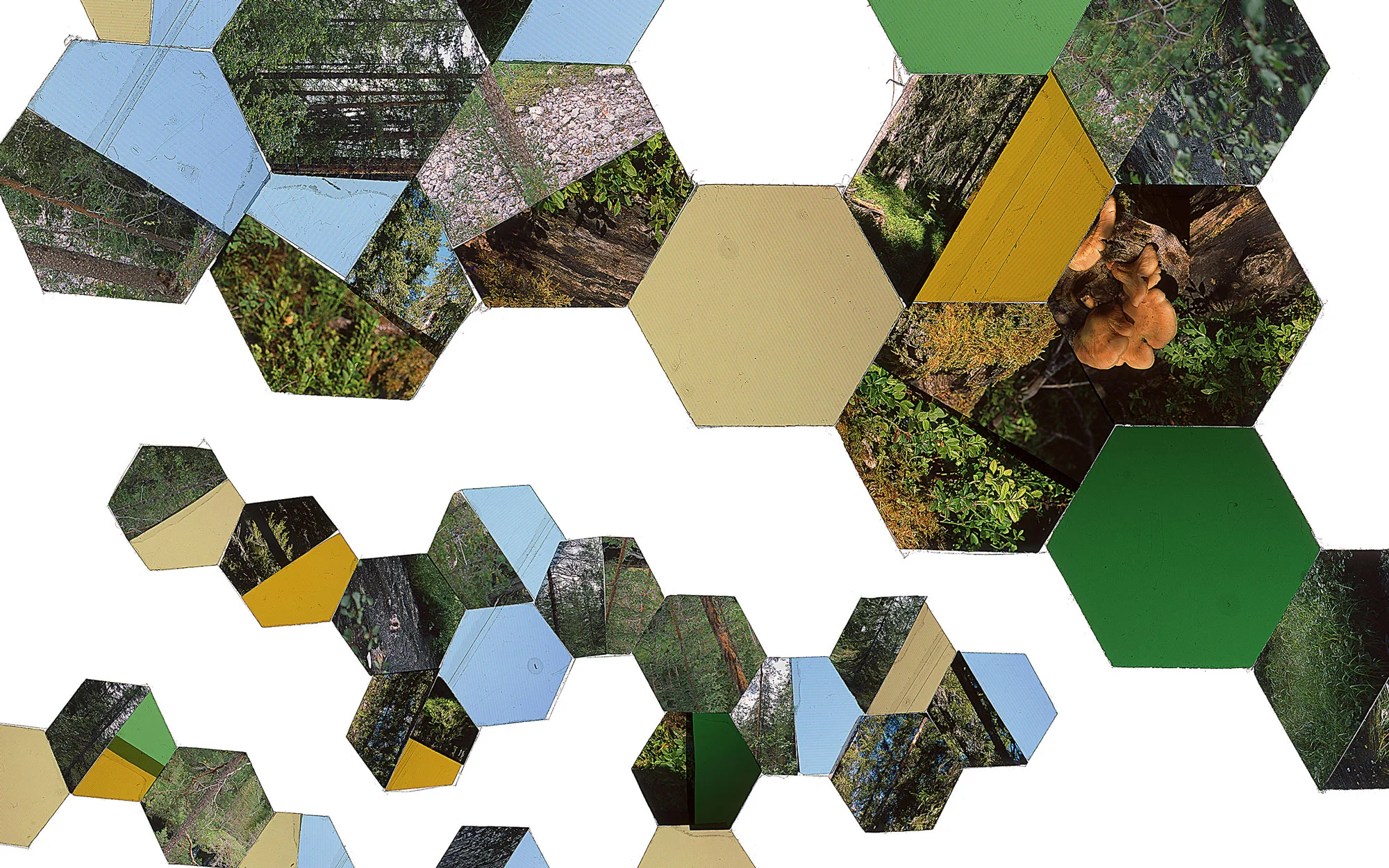Hexagon Derivative 6 • 30"x51" [76cm x 130cm] • C-print from color transparency composition 