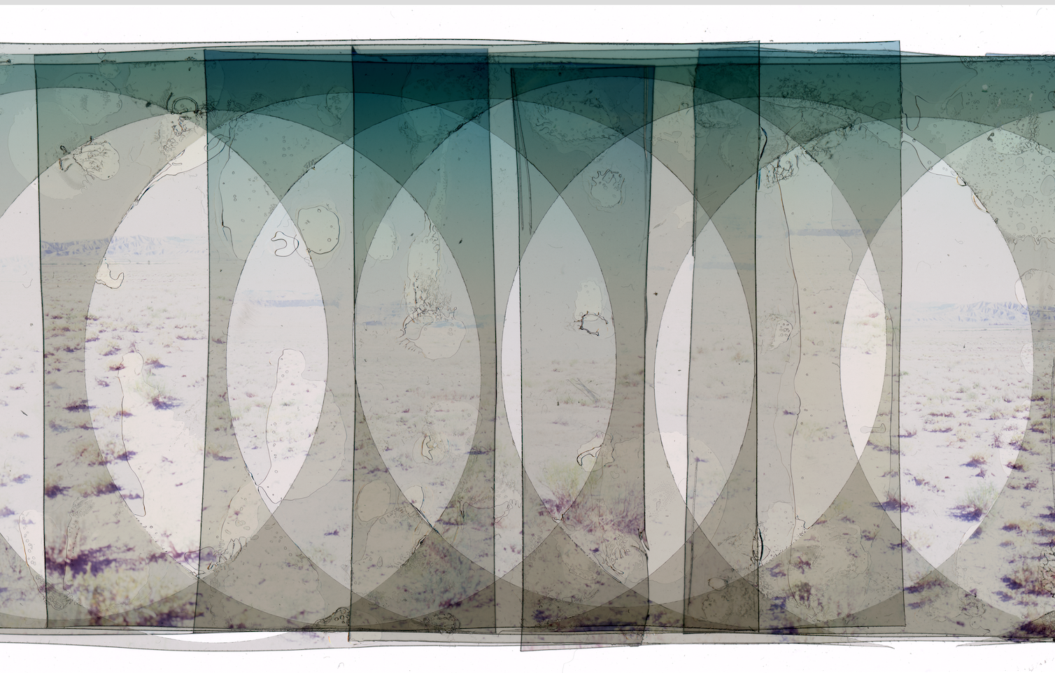 Sketches: American Plains and Rainforests