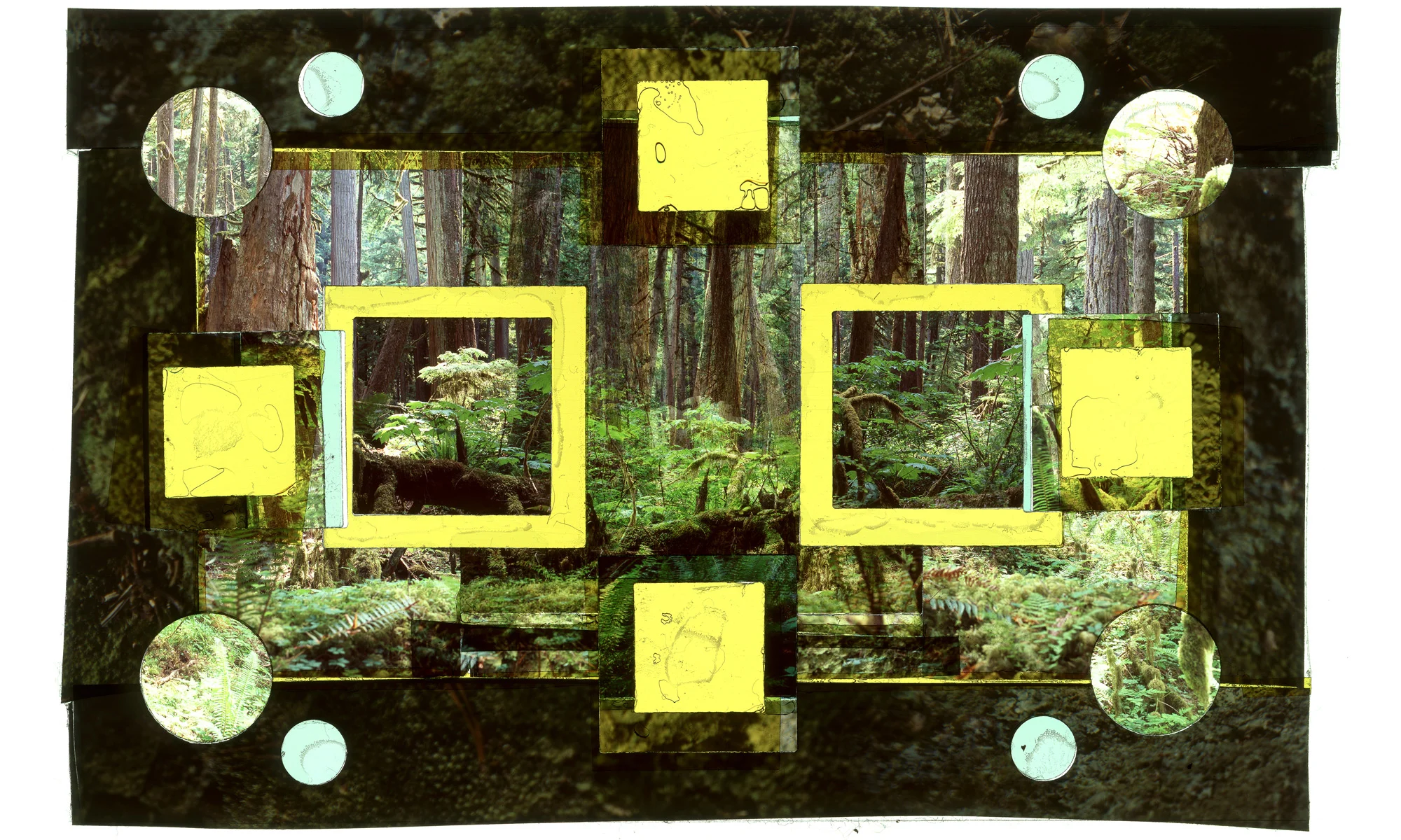 More Mt. Rainier Compositions