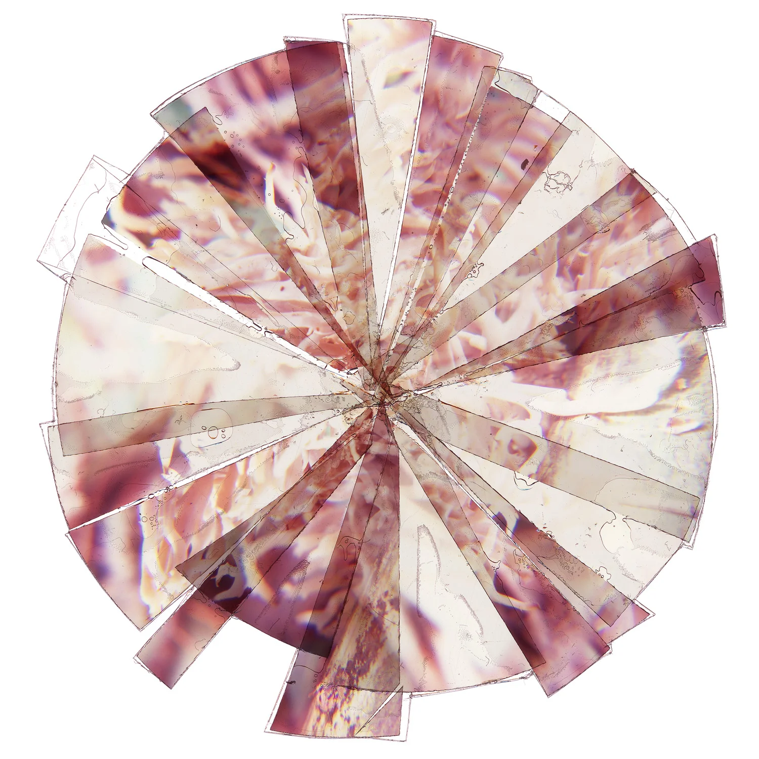 Radiance Series: New Compositions