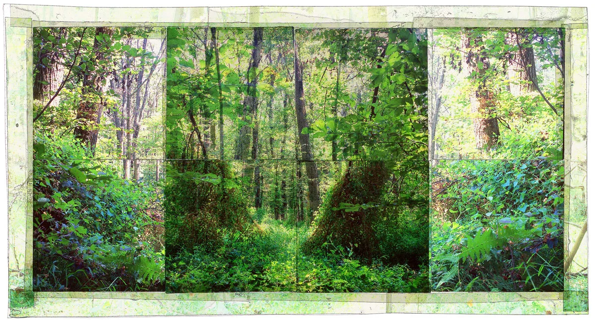 GAMBRILL SP, 1 • 30"x 17" • GICLEE PRINT FROM TRANSPARENCY FILM COMPOSITION