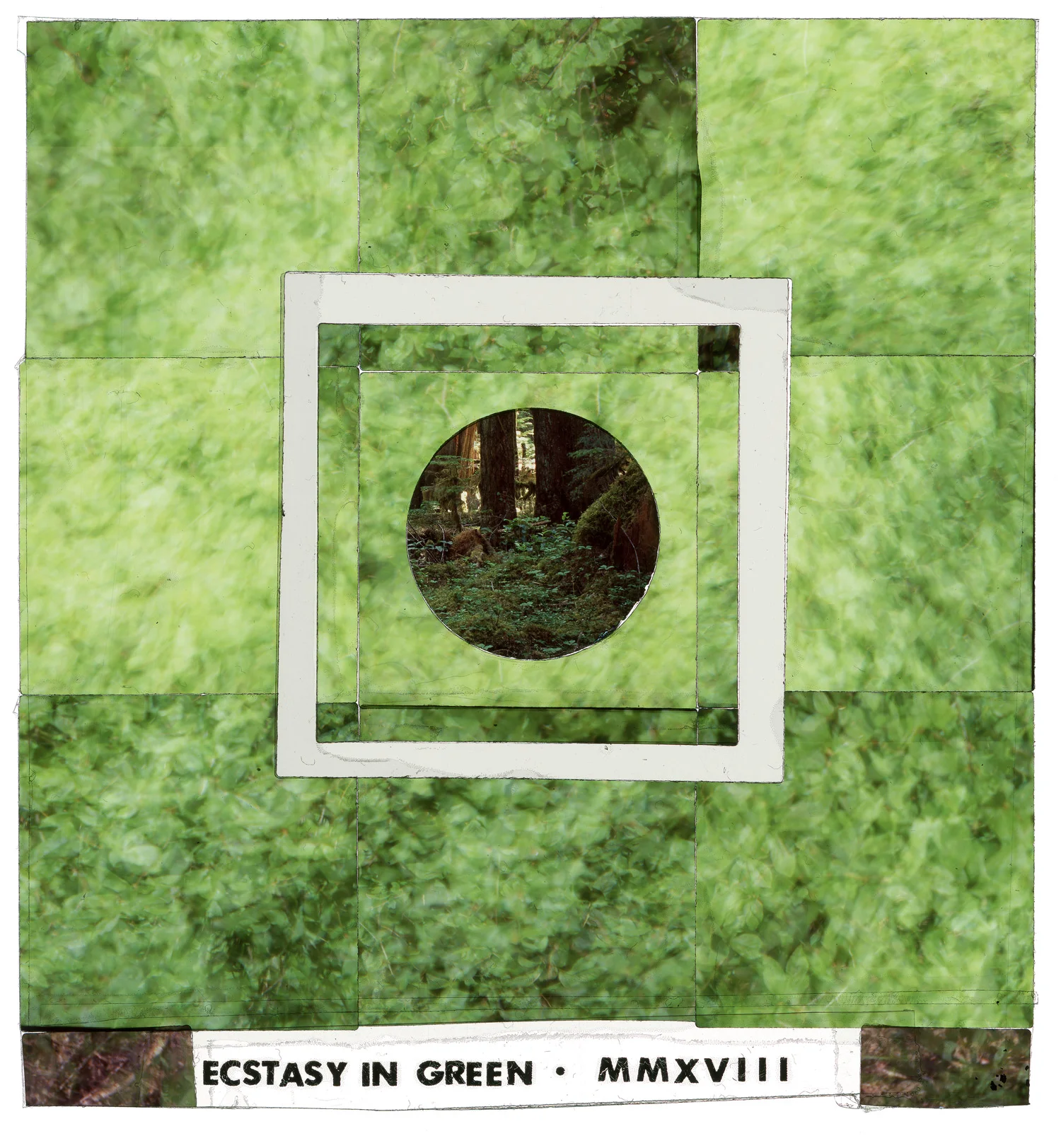 ECSTASY IN GREEN #1, 24"x26"