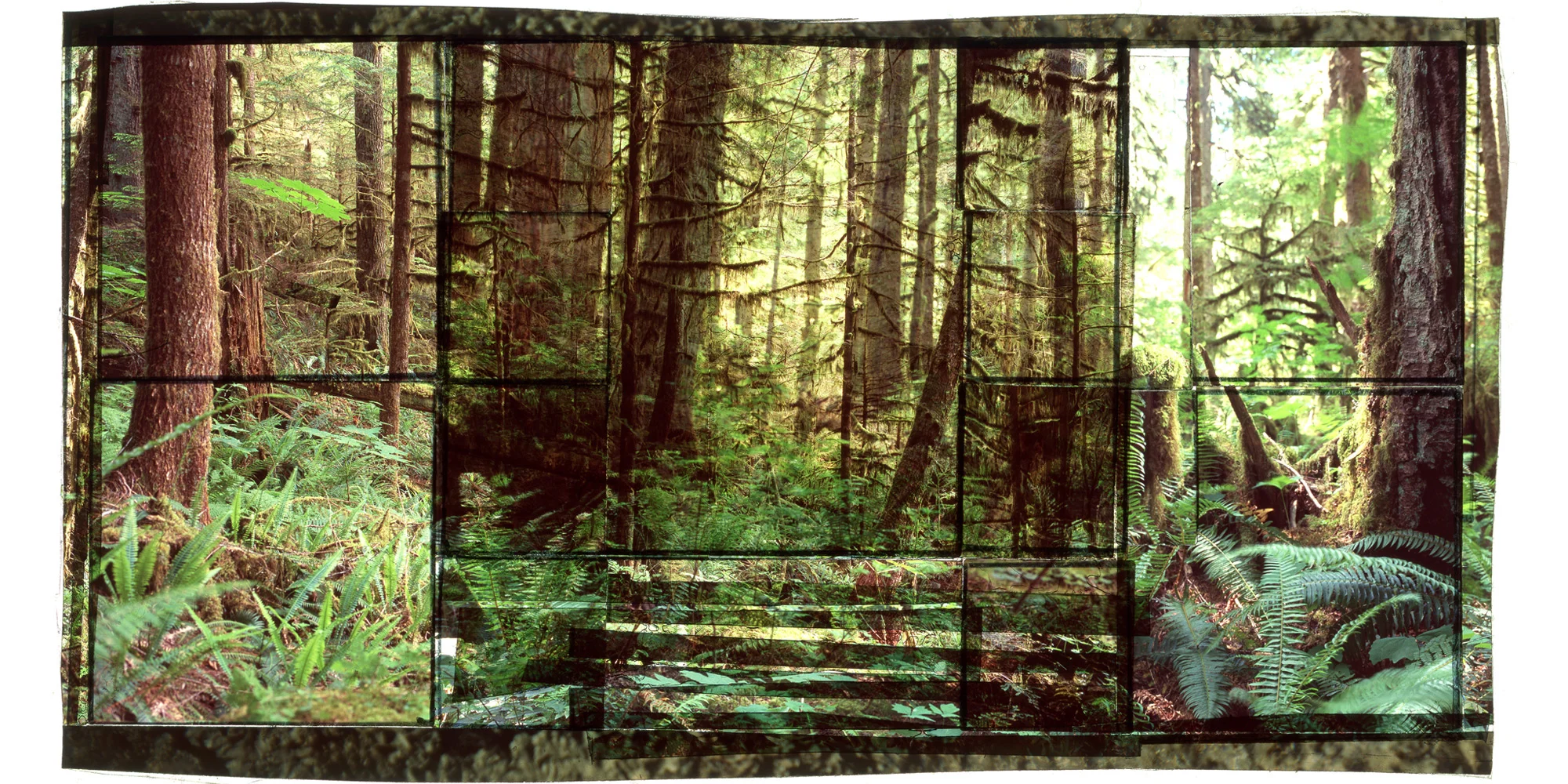 TIGER MOUNTAIN SF, 1 • 30"x 17" • GICLEE PRINT FROM TRANSPARENCY FILM COMPOSITION