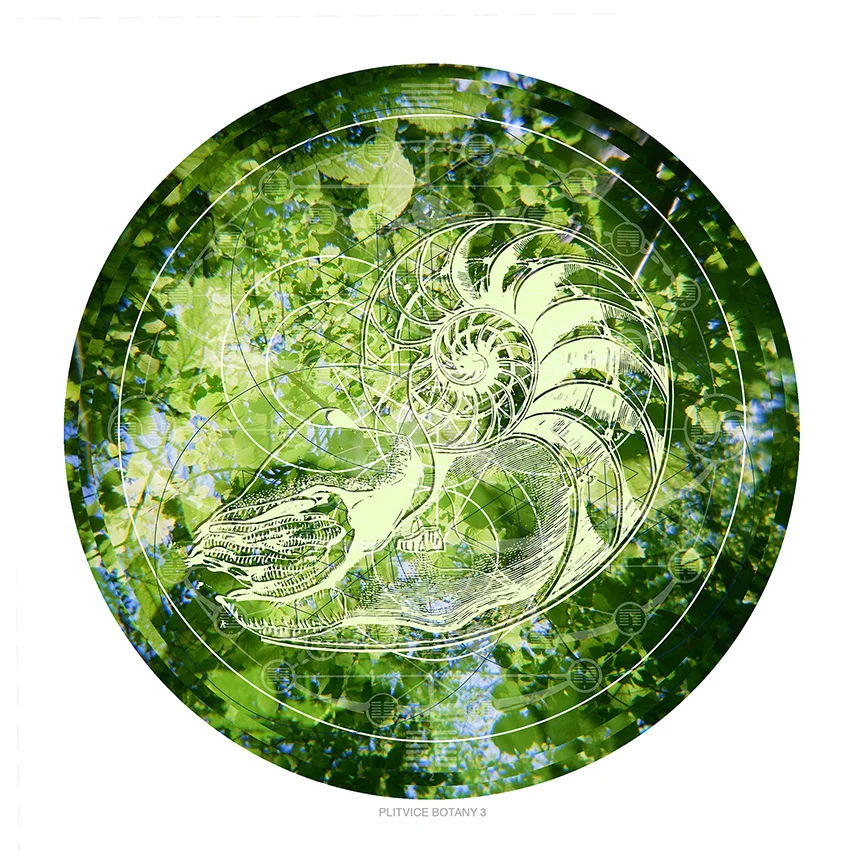 Plitvice Botany 3 postcard web.jpg
