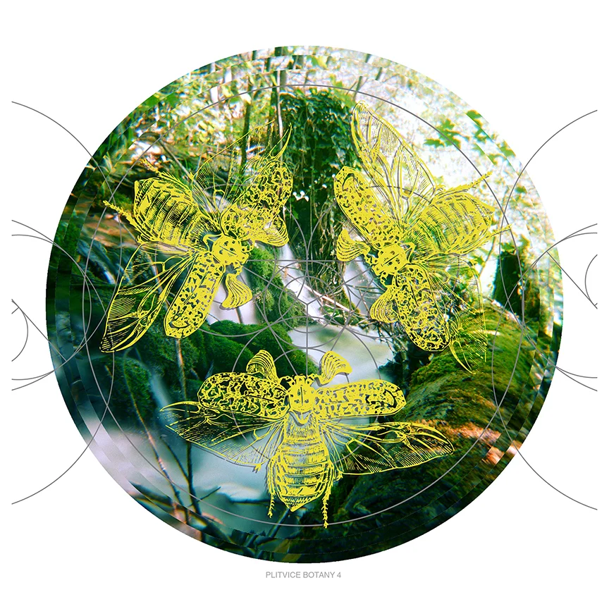 Plitvice Botany 4 postcard web.jpg