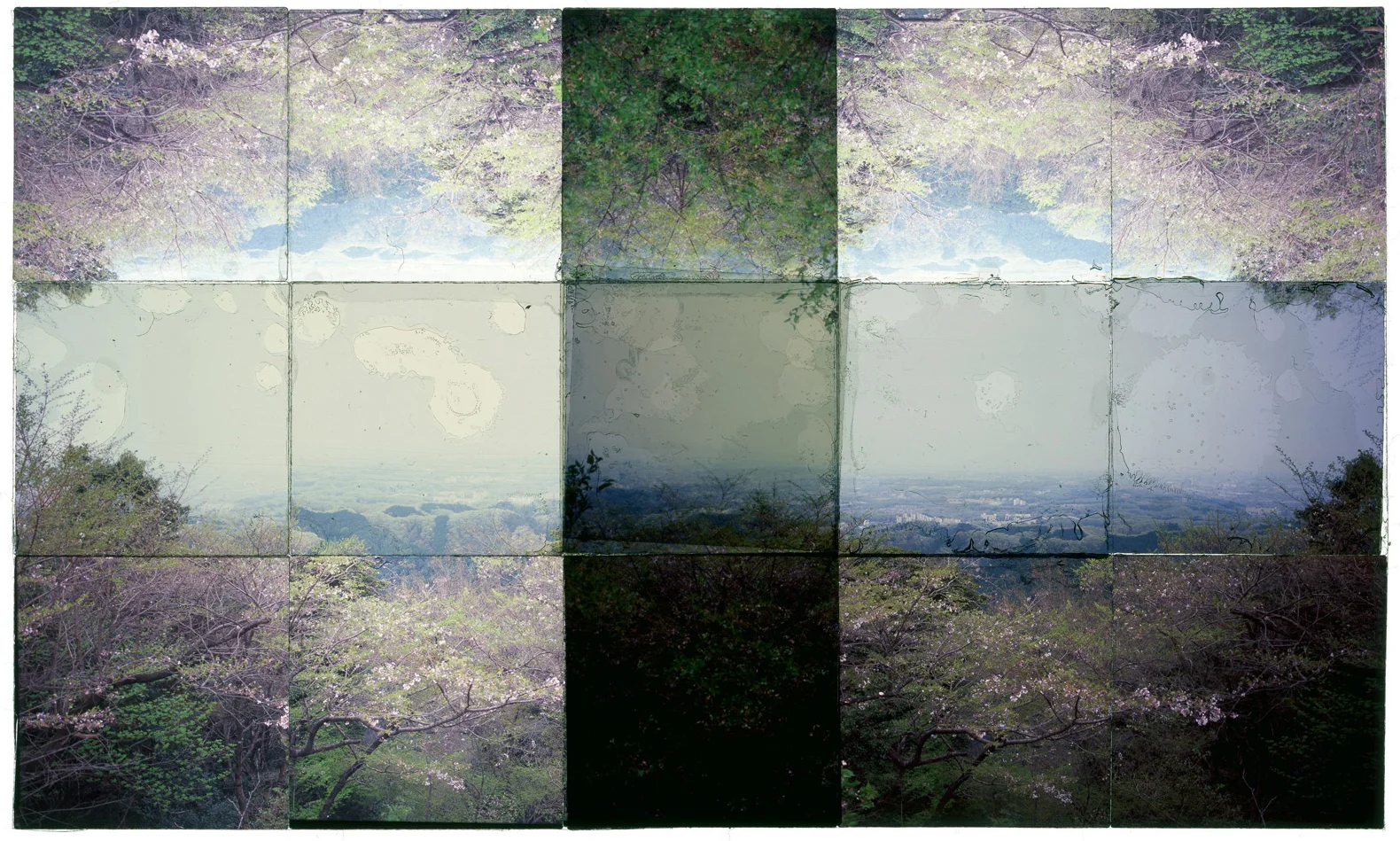 MT. TAKAO, JAPAN, 2 • 40”x24” • TRANSPARENCY FILM COMPOSITION
