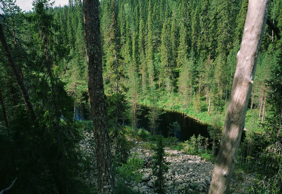 01-005.jpg