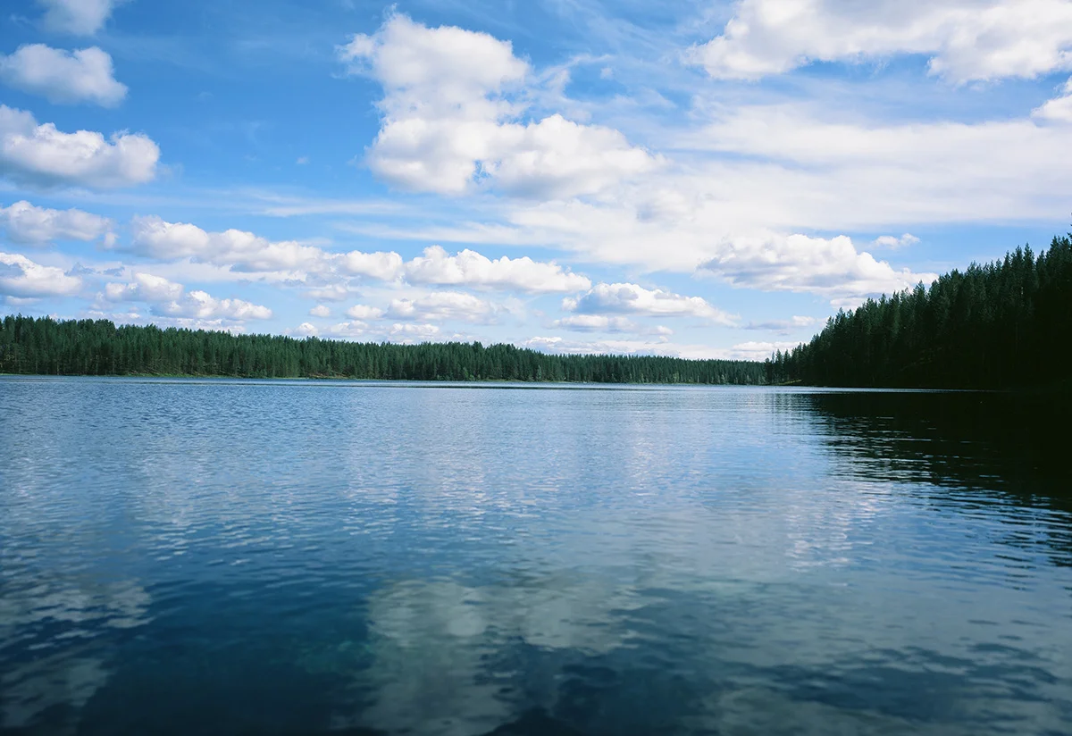 01-004.jpg