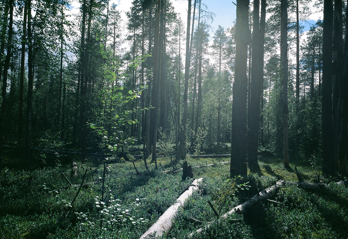 02-007.jpg
