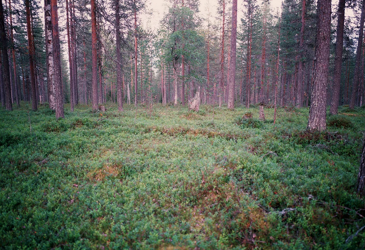 01-007.jpg