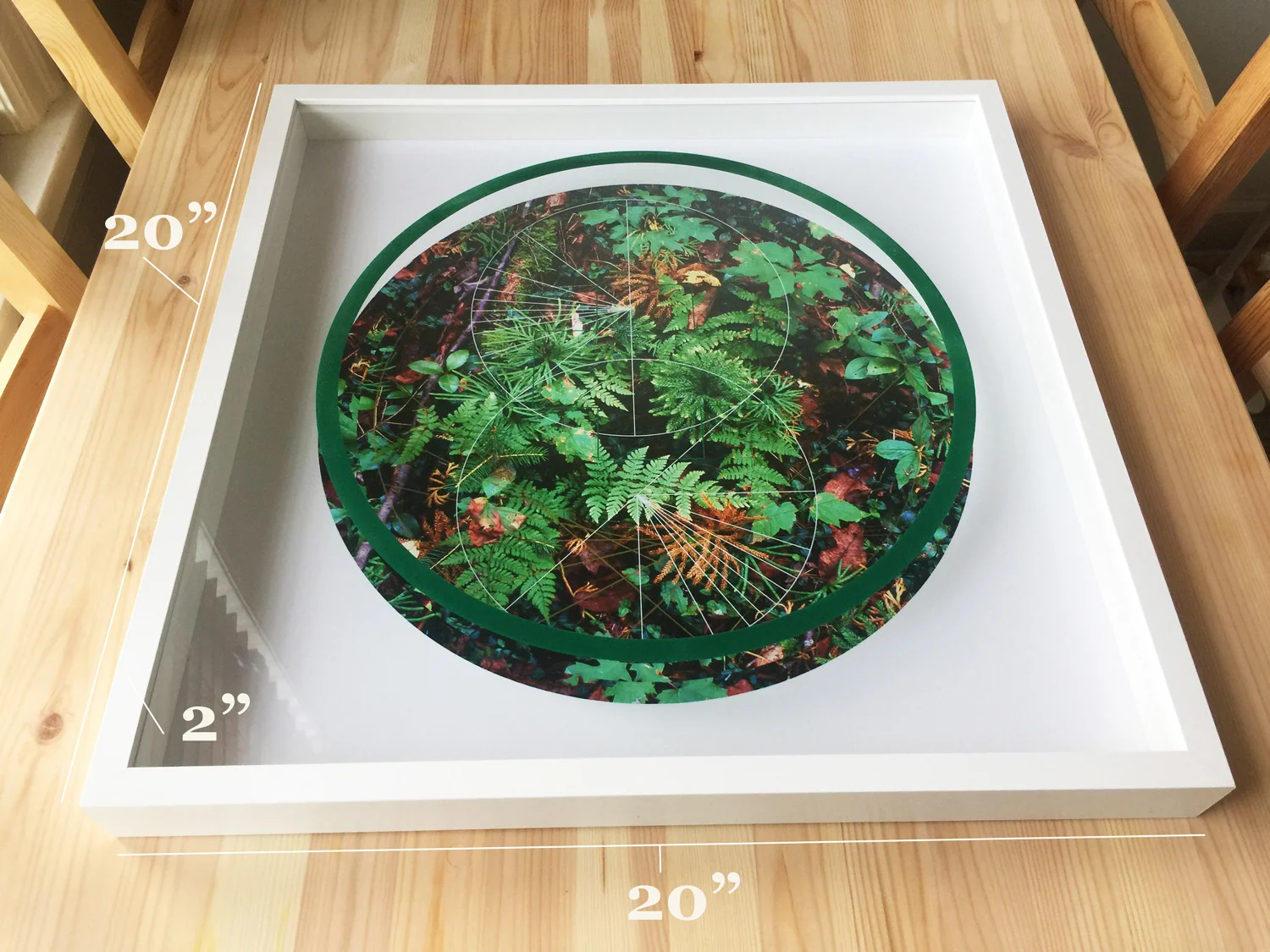 Rainier-Botany-1-detail-table-with-numbers.jpg