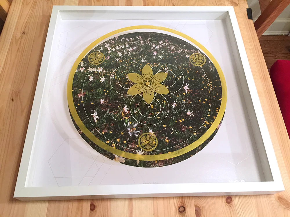 RAINIER BOTANY 4 • 20” x 20” x 2” • SILKSCREEN ON PHOTO AND ACRYLIC, IN SHADOWBOX • 2018