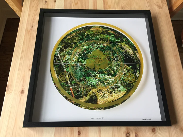 RAINIER BOTANY 5 • 20” x 20” x 2” • SILKSCREEN ON PHOTO AND ACRYLIC, IN SHADOWBOX • 2018