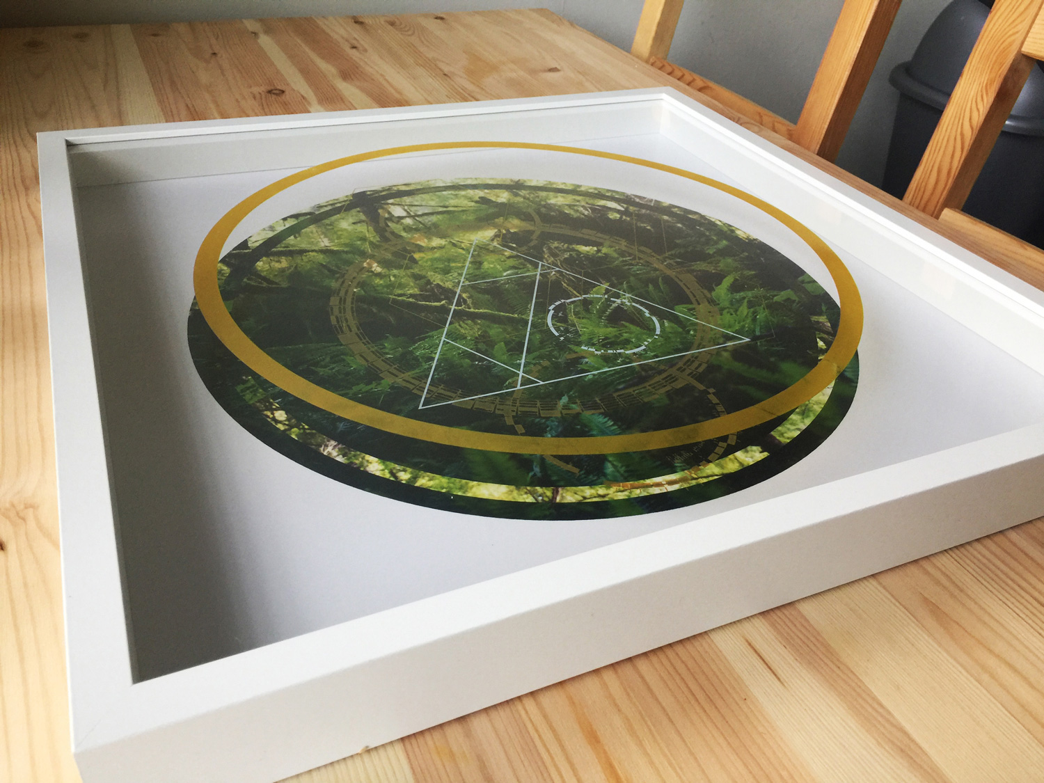RAINIER BOTANY 6 • 20” x 20” x 2” • SILKSCREEN ON PHOTO AND ACRYLIC, IN SHADOWBOX • 2018