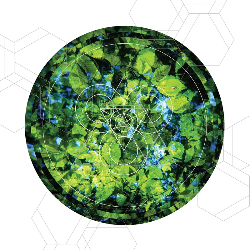 RAINIER BOTANY 7 • TRANSPARENCY FILM PRINT ONLY