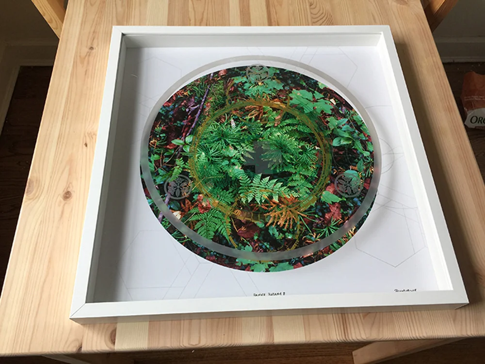 RAINIER BOTANY 8 • 20”x 20” • SILKSCREEN ON PHOTO AND ACRYLIC