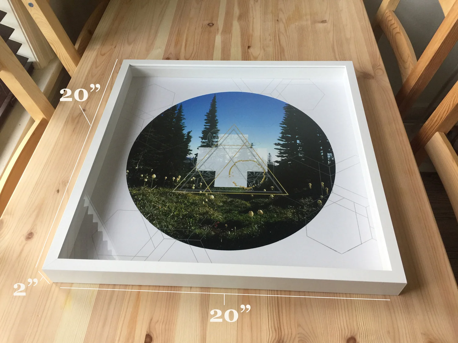 Rainier-Botany-10-detail-table-with-numbers.jpg