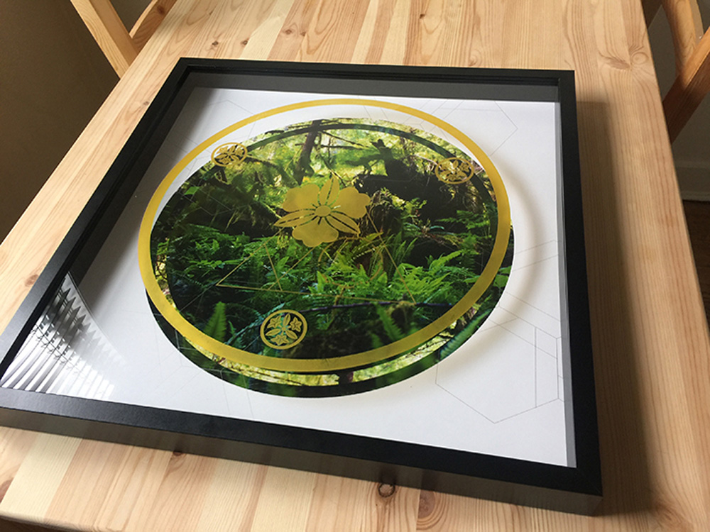 RAINIER BOTANY 11 • 20” x 20” x 2” • SILKSCREEN ON PHOTO AND ACRYLIC, IN SHADOWBOX • 2018