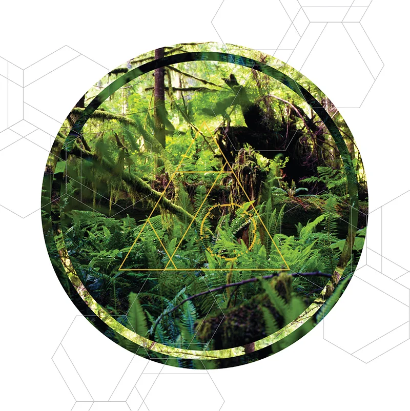 RAINIER BOTANY 11 • TRANSPARENCY FILM PRINT ONLY