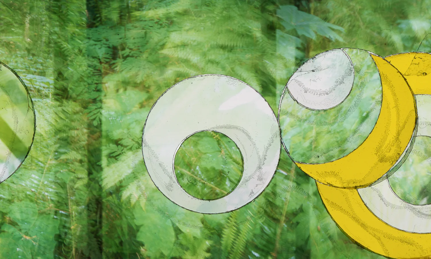 “VERDANT PHASES” (DETAIL), TRANSPARENCY FILM PRINT