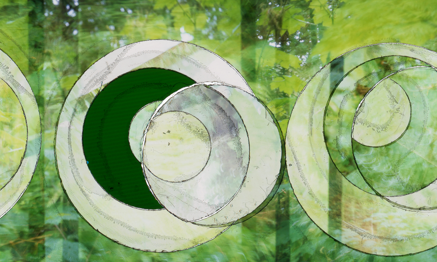 “VERDANT PHASES” (DETAIL), TRANSPARENCY FILM PRINT