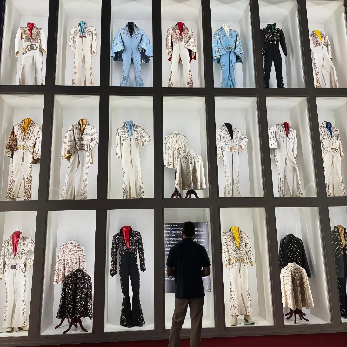 &ldquo;My Time in Memphis&rdquo; by Perri Kathryn DiChristina