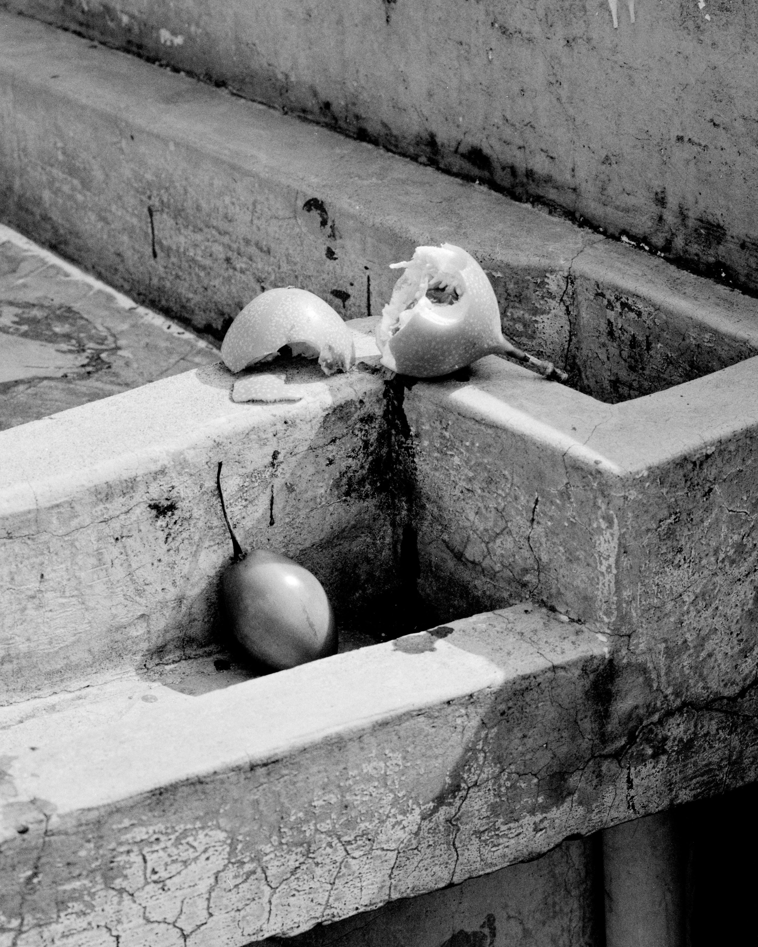 DeliGallery_AthenaTorri_FrutasFrescas.jpg