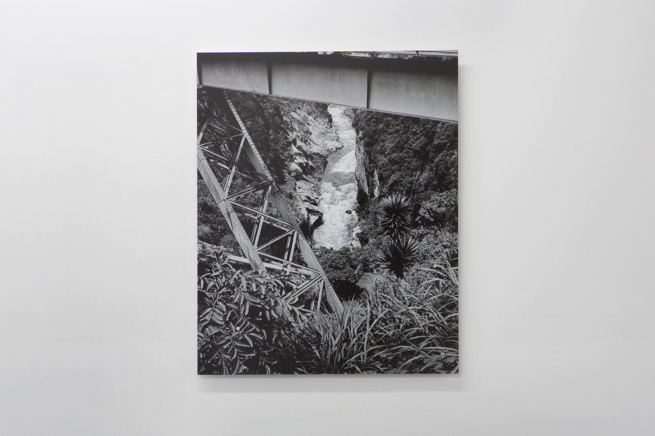 DeliGallery_AthenaTorri_Install (6).jpg