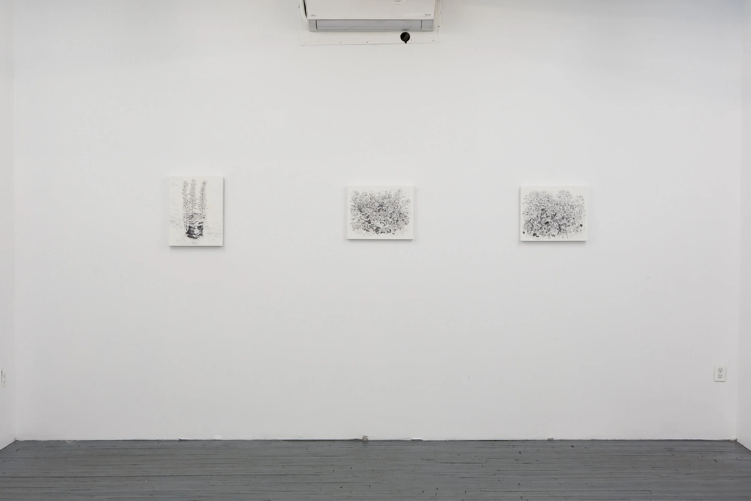 DeliGallery_AlexandriaTarver_Install5.jpg