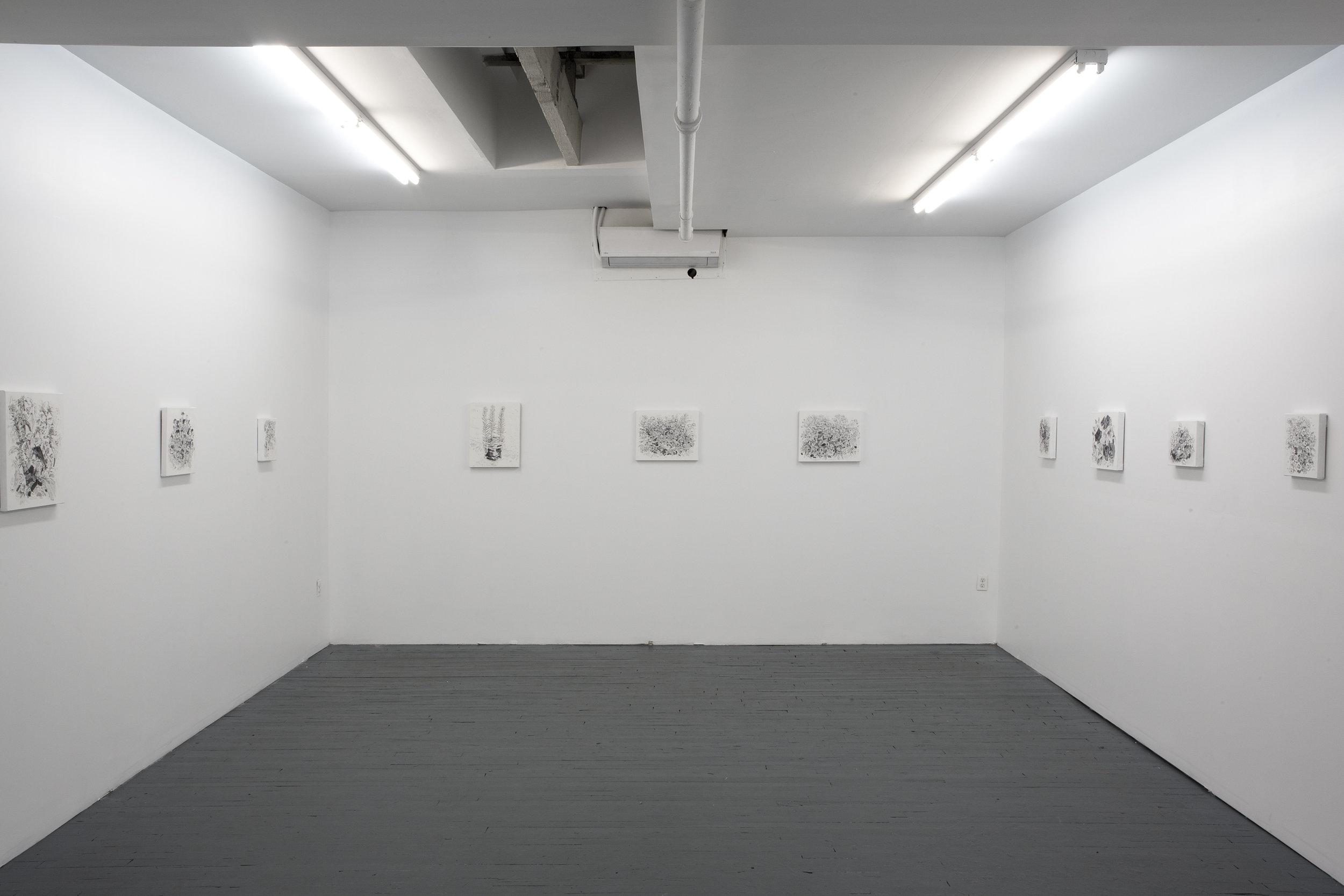 DeliGallery_AlexandriaTarver_Install1.jpg