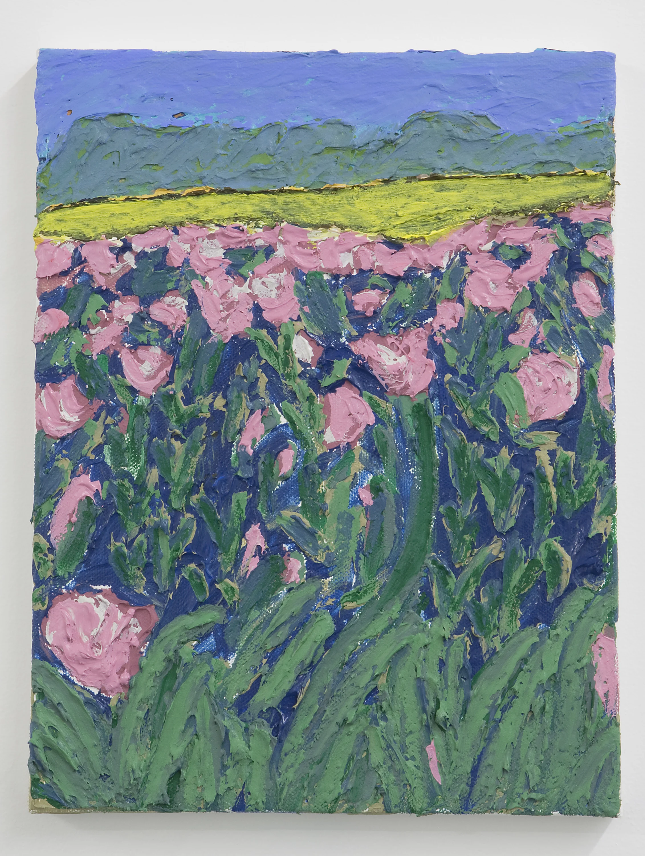 DeliGallery_AlexNguyen_DutchTulipsLiningtheTwoLaneHighway.jpg